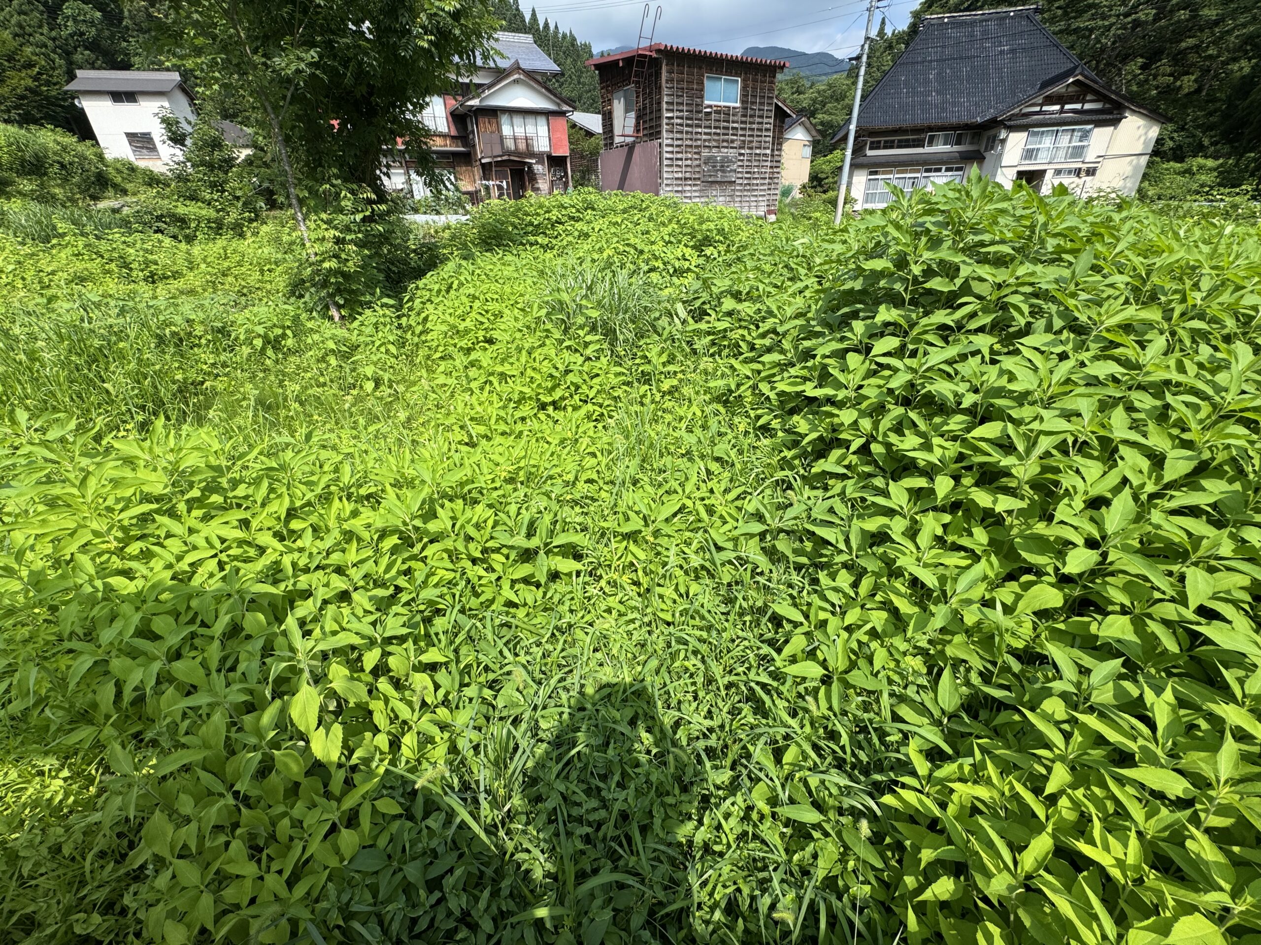 施工画像