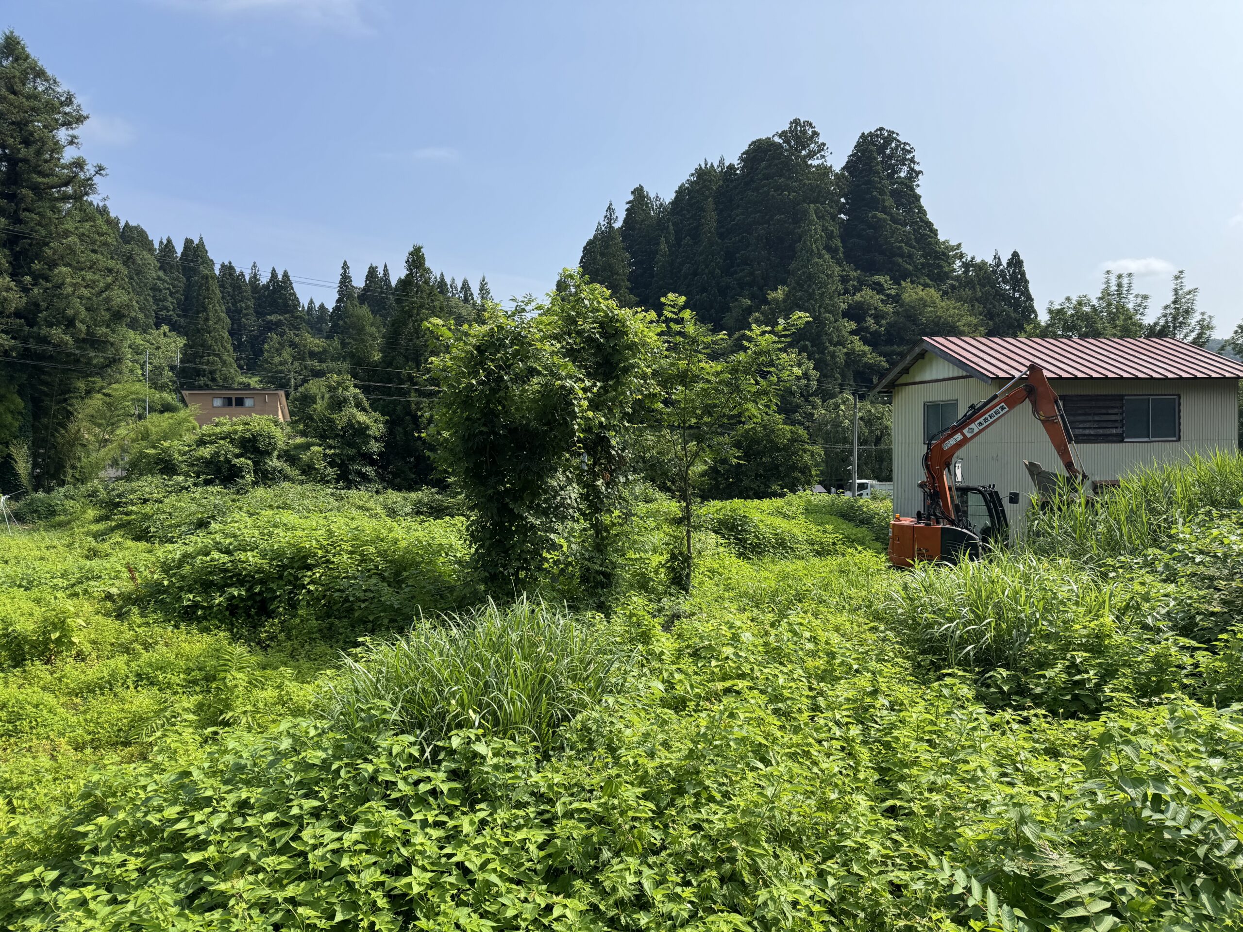 施工画像