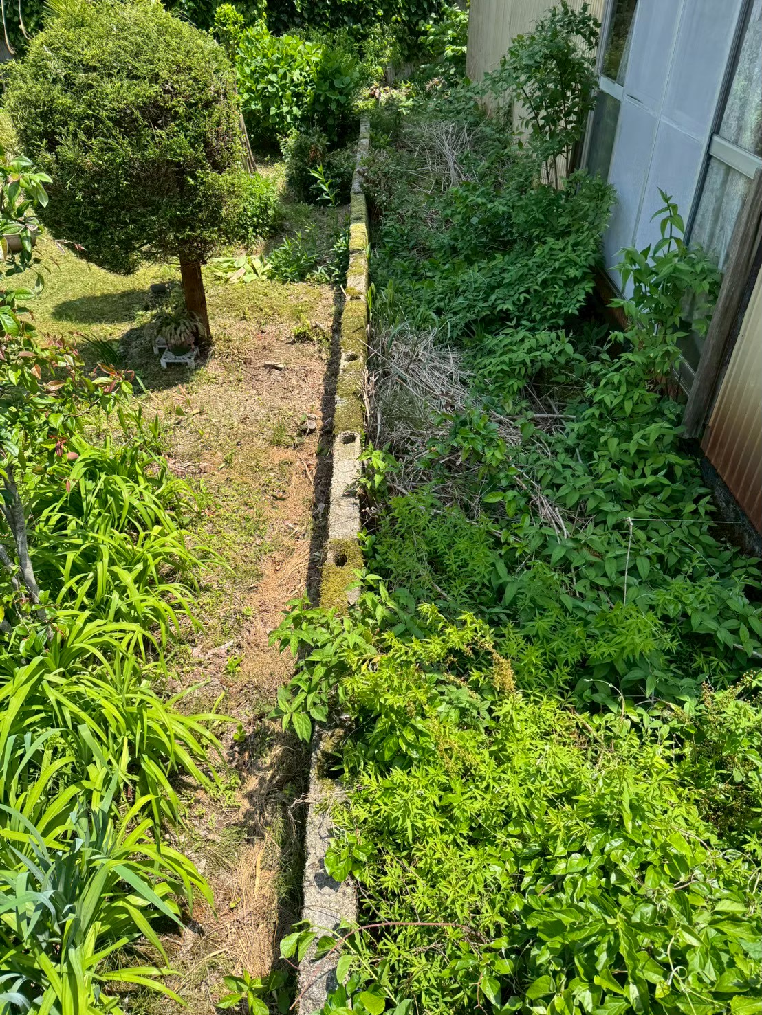 施工画像